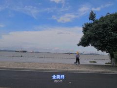 -南沙蒲洲花园
