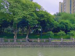 -运河游船(武林门码头)