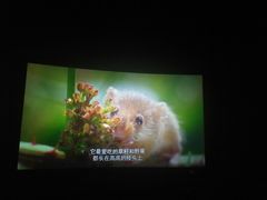 -幸福蓝海国际影城(烟台大悦城IMAX店)