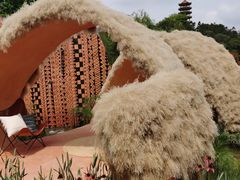 -深圳仙湖植物园