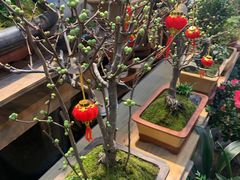 -双季花艺园艺市场(浦东店)
