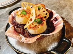 -Hi City·城市之巅