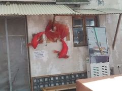 -胖三嬢·呱呱老火锅(北京总店)