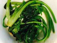 香菜-食爺炭炉鸡煲·烧烤