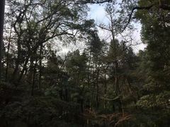 -西湖风景区十里琅珰-五云山