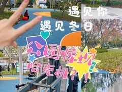 -和平公园