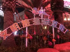 -三亚海昌梦幻海洋不夜城