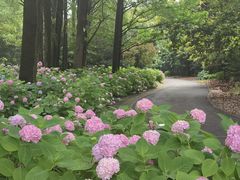 -上海滨江森林公园