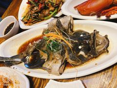 清蒸石斑鱼-南海渔家•海鲜•正宗海南菜(海棠湾店)