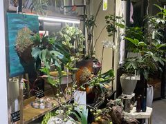 -弗劳尔花艺坊(龙涛店)