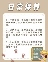 -美丽田园