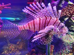 -沈阳海洋探索中心