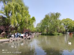 -洛阳市隋唐城遗址植物园