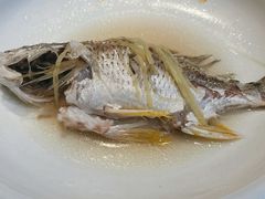 油盐蒸黄脚立鱼-花城苑广府菜(海心沙店)