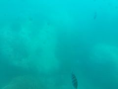 -亚龙湾海底世界