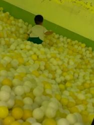 点击看大图 -宝燕乐园(闵行旗舰店)