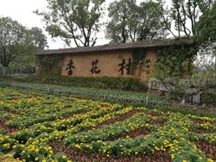 -杏花村文化旅游区