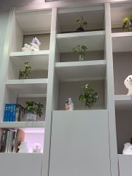 -欧扬医疗美容