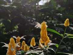 -北京植物园-展览温室