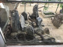 -荔城生鲜盛宴(番禺旗舰店)