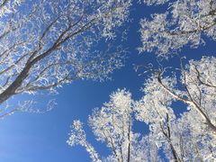 -中旅松花湖滑雪场