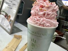 -雾与山茶(大禹城店)