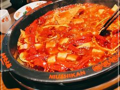 -牛市坎火锅(建设路店)