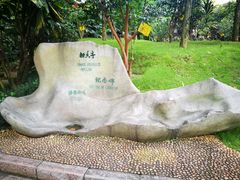 -柳侯公园