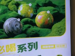 -吴山山·椰子酸奶(天河南店)