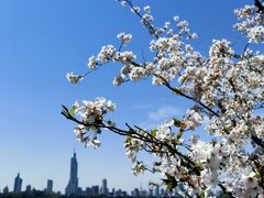 -玄武湖景区-情侣园游乐场