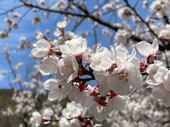 -京西十八潭风景区