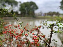 -韩湘水博园