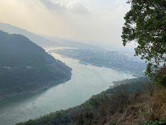 -铁山坪森林公园