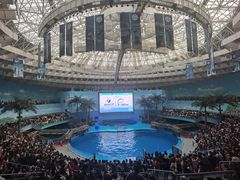 -海合安成都极地海洋公园