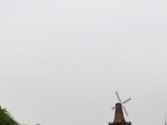 -大塘金香草谷
