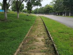 -永定河休闲森林公园