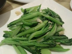 -锦粤宫·精致粤菜(深圳北站店)