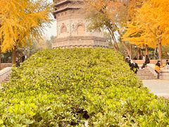 -玲珑塔公园