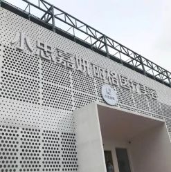 -小忠丽格医美