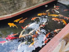 -侠成水上农庄(工业大道店)
