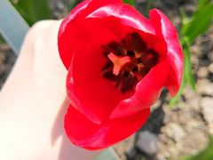 -汇金缪斯影城(八佰伴店)