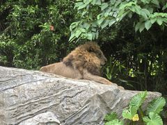 -广州长隆野生动物世界