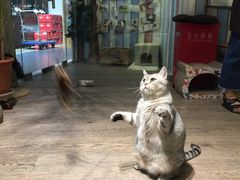 -小时光咖啡馆(开森度假森林店)