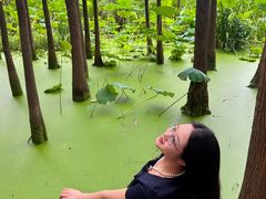 -云龙湖旅游景区