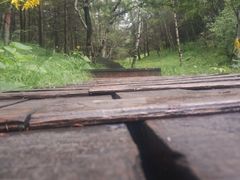 -苏木山森林公园