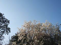 -艾溪湖湿地公园