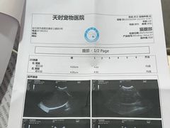 -天时宠物医院24小时疑难病例会诊中心(顾乡大街总院)