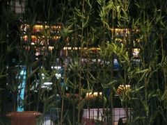 -唐伯虎新派湘菜馆(石夏时代广场店)