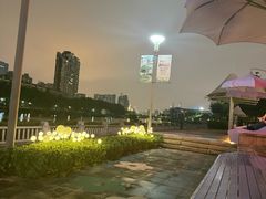 -光明港公园