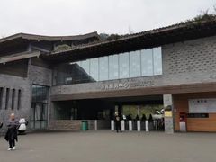 -都江堰中华大熊猫苑